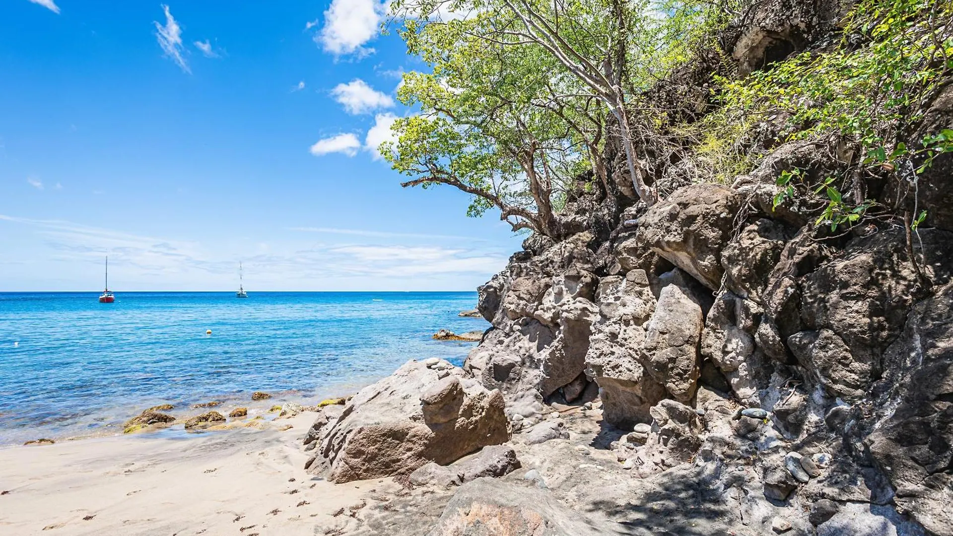 Residence La Baie De Ti T Anse ポワント・ノワール グアドループ