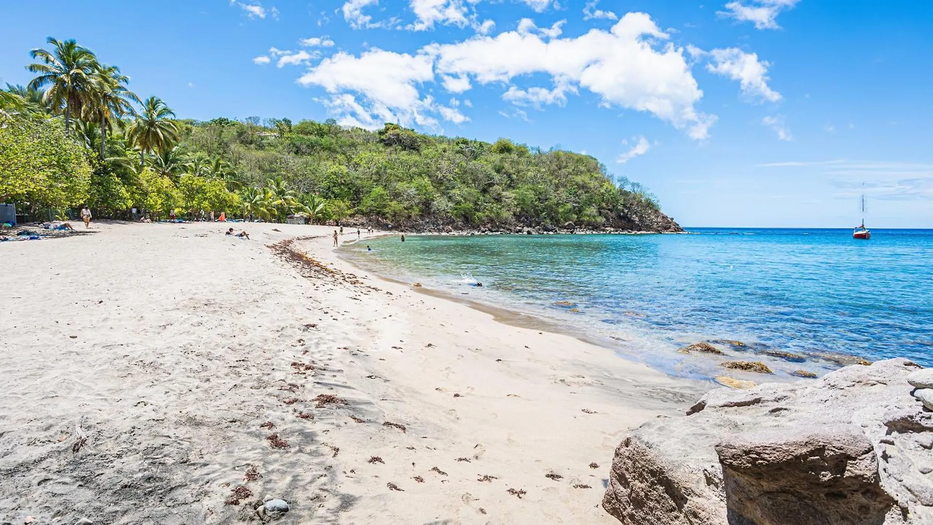 Residence La Baie De Ti T Anse ポワント・ノワール グアドループ